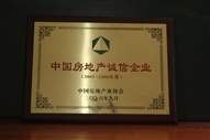 B1、中國(guó)房地產(chǎn)誠(chéng)信企業(yè)2005—2006年